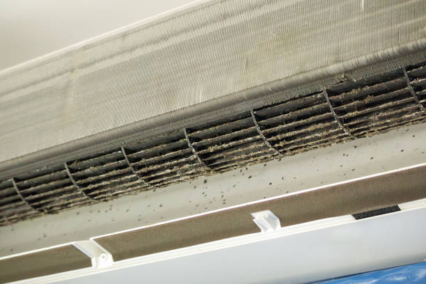Best HVAC System Cleaning  in Miami, AZ
